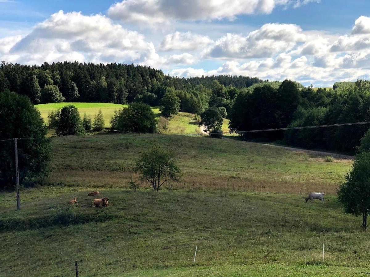 Polimony - Dom Nad Jeziorem Z Prywatnym Pomostem Polimonie Exterior foto
